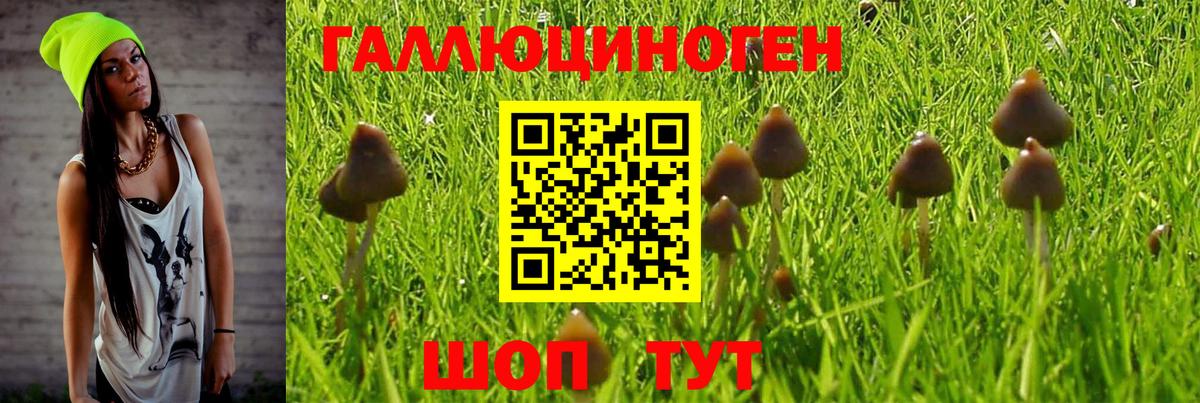 Псилоцибиновые грибы мухоморы Бугуруслан